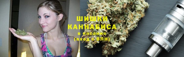 индика Арсеньев