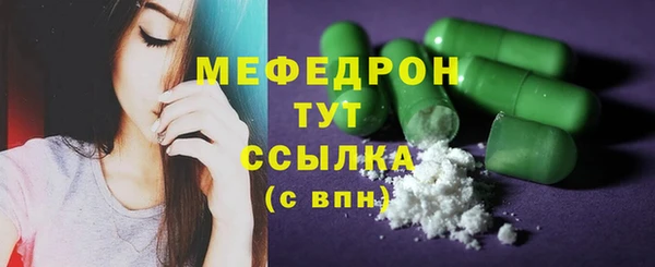 индика Арсеньев