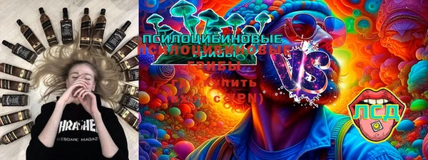 индика Арсеньев