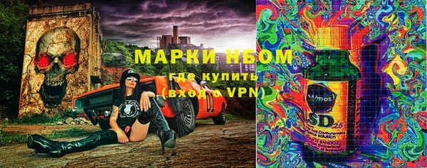 индика Арсеньев
