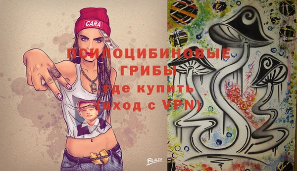 гашик Армянск