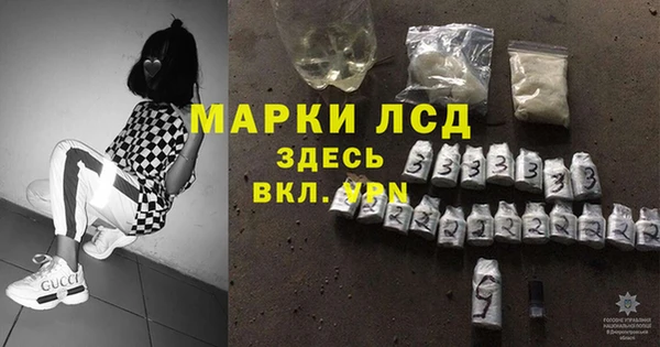 индика Арсеньев
