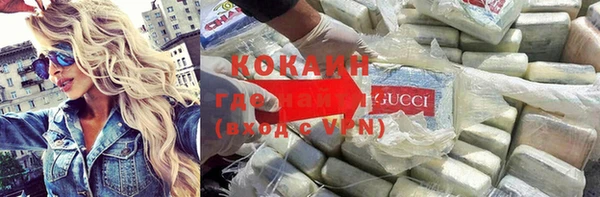 индика Арсеньев