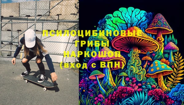 индика Арсеньев