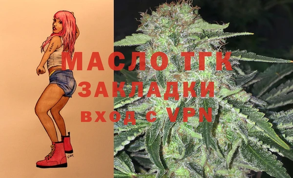 индика Арсеньев