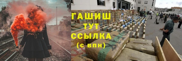 индика Арсеньев