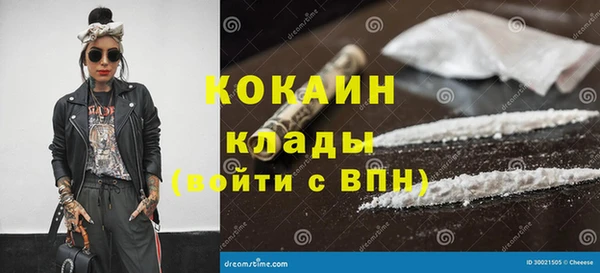 индика Арсеньев